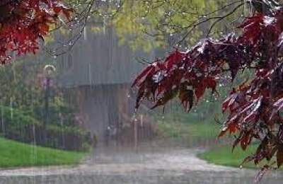 بارش‌ها در جنوب کشور آغاز می‌شود/ورود سامانه بارشی از شمال‌غرب