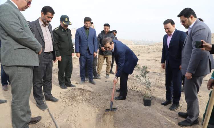 اجرای رویداد ملی صبح زیتون در قم/کاشت نهال‌های زیتون همراه با معلولین به یاد شهدای فلسطینی