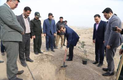 اجرای رویداد ملی صبح زیتون در قم/کاشت نهال‌های زیتون همراه با معلولین به یاد شهدای فلسطینی