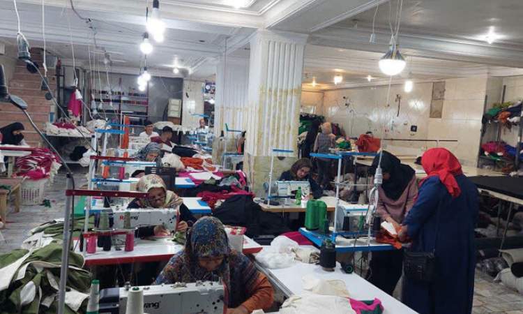 رشد بیش از ۲۲ درصدی تعاونی‌های زنان در دولت سیزدهم