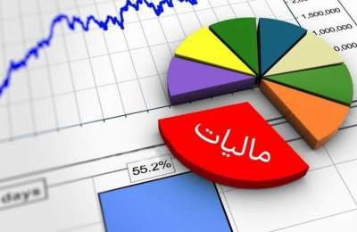 پرداخت ۵۰ درصد مالیات مشاغل توسط یک درصد مودیان/ سهم ۶ درصدی اصناف در مالیات