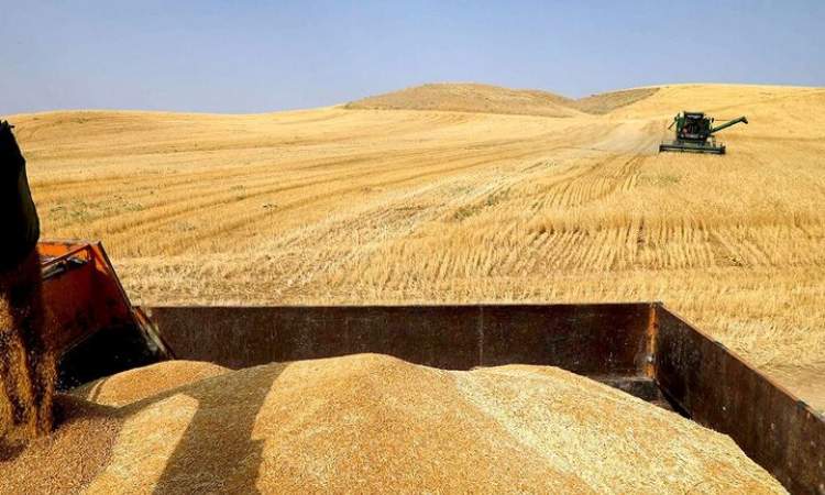 پرداخت مطالبات گندمکاران با درآمدهای مالیاتی بدون افزایش نقدینگی پرداخت مطالبات گندمکاران با درآمدهای مالیاتی بدون افزایش نقدینگی