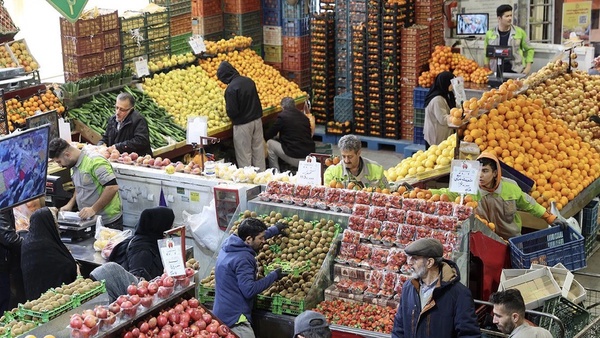 عرضه سیب و پرتقال ارزان؛ کیفیت نداشت مرجوع کنید!