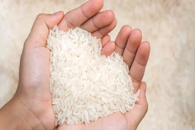 رد ادعای عرضه قطره‌چکانی برنج وارداتی/ تامین ارز و تمدید ثبت سفارش‌ها ضروری است
