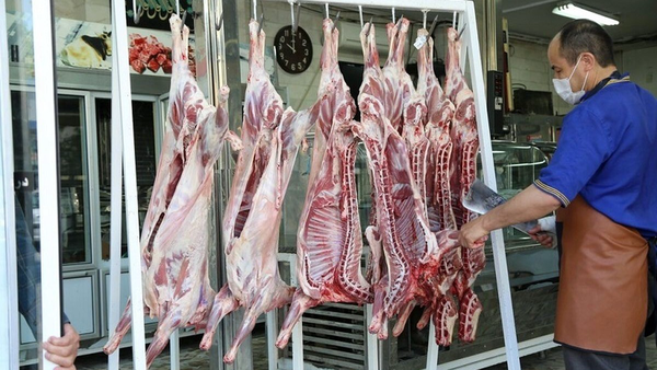 مدیر اتحادیه دامداران: ارز بی‌زبان را به پای گوشت‌ بی‌کیفیت ریختند
