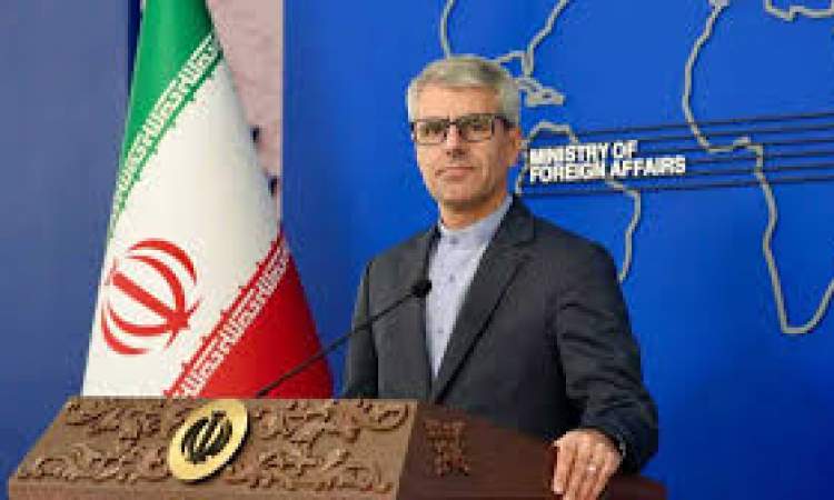 بقائی: اروپایی‌ها صلاحیت استفاده از سازوکار بازگشت را ندارند