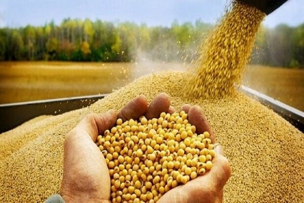 مسئله استفاده از فناوری در قطع وابستگی است؛ برای ما شرکت وفرد مهم نیست