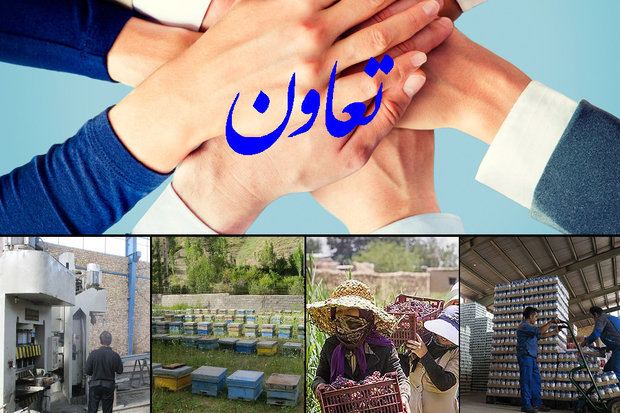 دولت‌ها در ایران اعتقادی به اقتصاد تعاون‌محور ندارند