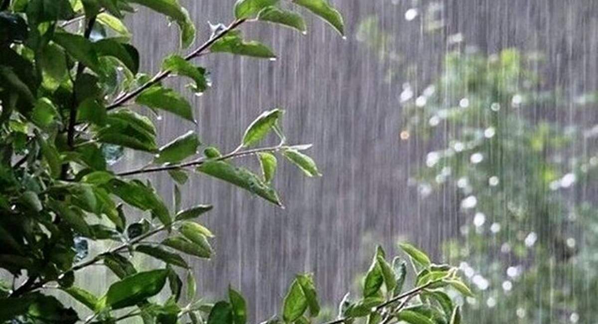 بارش پراکنده باران در استان‌های شمالی