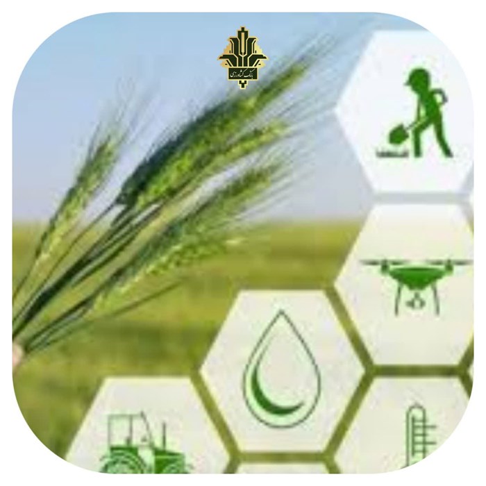 پرداخت بیش از ۱۰۰۰ میلیارد ریال تسهیلات از محل اعتبارات صندوق توسعه ملی و خطوط اعتباری