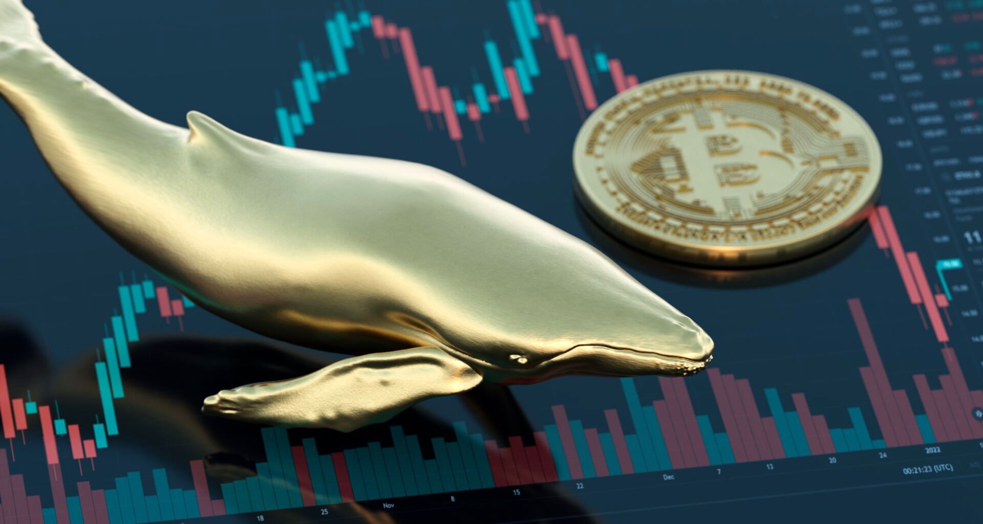 بیت‌کوین در مرز ۱۱۱ هزار دلار ایستاد | تتر هم‌مسیر با دلار روی خط ۱۰۰ هزار تومان | نهنگ ها همچنان فعالند