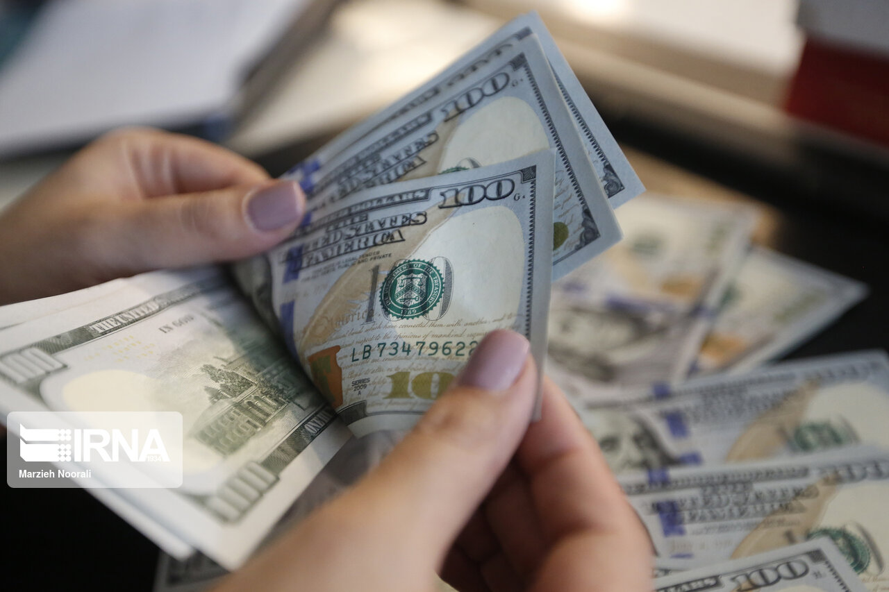 ارز دولتی فقط برای کالاهای اساسی/ بانک مرکزی از قیمت گذاری بپرهیزد