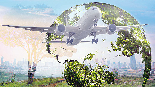 پرواز سبز با خاکستر آمازون