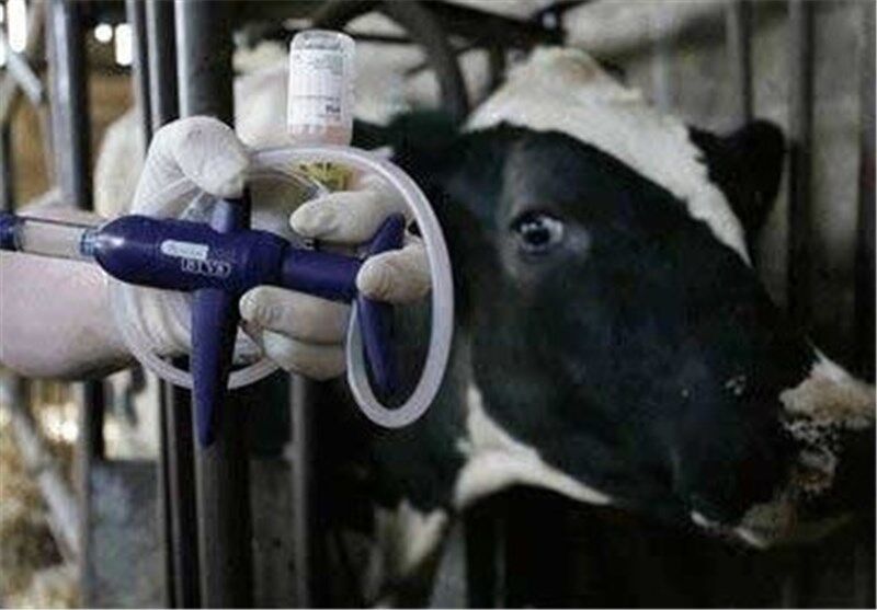 کاهش تولید شیرخام با شیوع بیماری تب برفکی