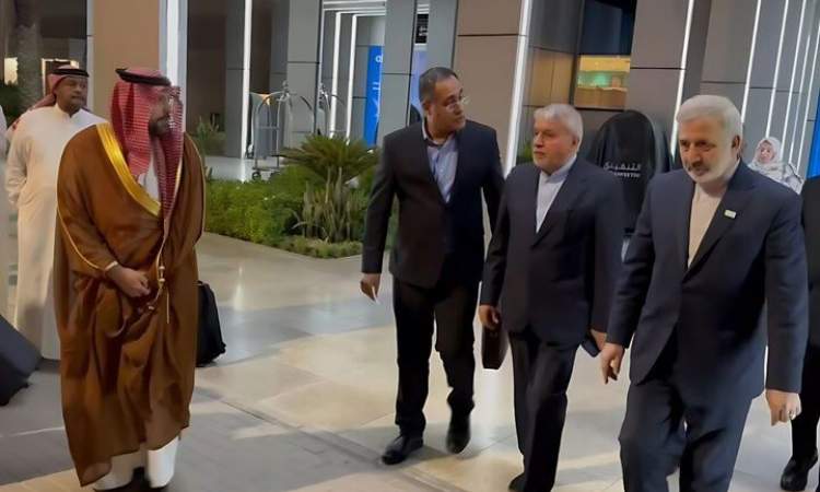 وزیر میراث فرهنگی وارد ریاض شد وزیر میراث فرهنگی وارد ریاض شد