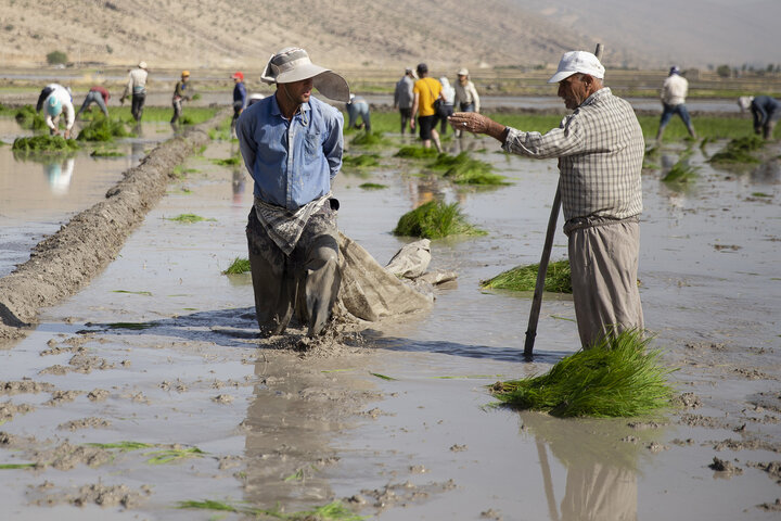برخی مدیران تصمیم‌گیرنده بحران آب را موقتی می‌دانند/ قیمت آب واقعی شود