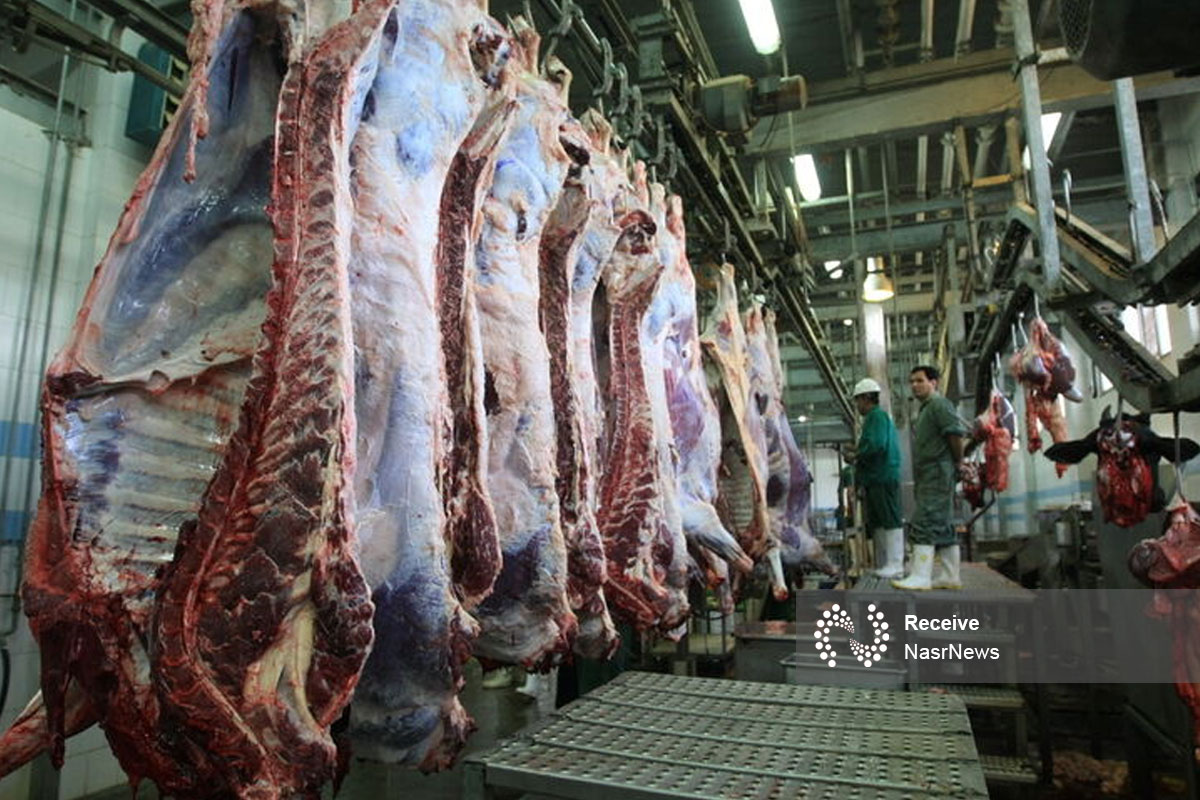 افزایش واردات گوشت قرمز طی روزهای آتی/ کمبودی در ماه رمضان نداریم