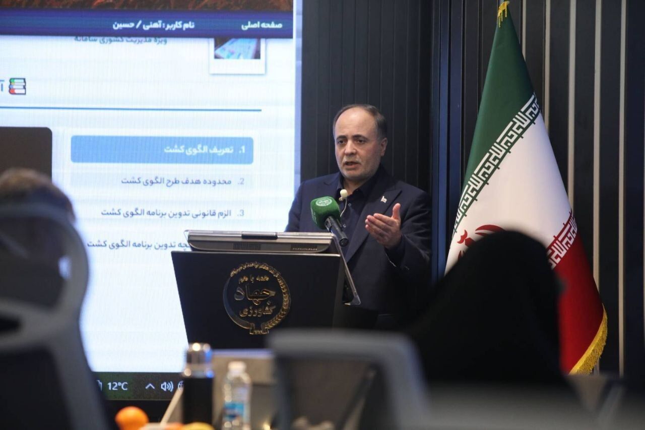 ۸۰ هزار تن مرغ مازاد تولیدکنندگان خریداری شد/ بدهی به واردکنندگان کالاهای اساسی نداریم