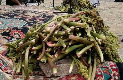 برگزاری دومین جشنواره ریواس در خلجستان قم