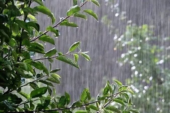 رگبار و رعدوبرق در ۱۰ استان نوار شمالی کشور